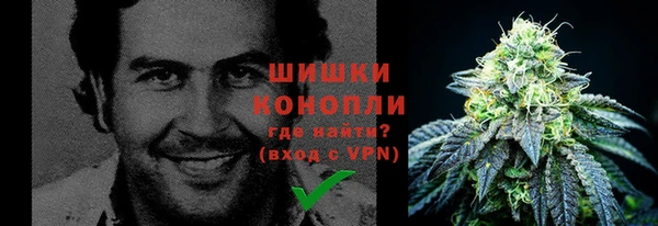 каннабис Белокуриха