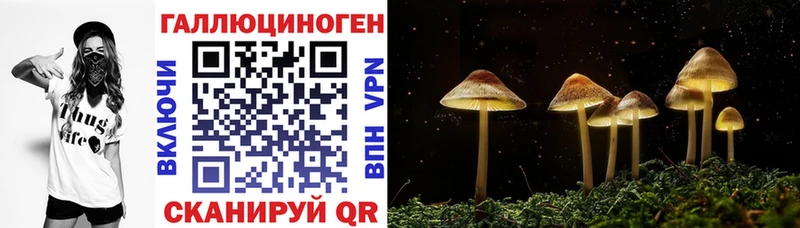 Галлюциногенные грибы ЛСД  darknet как зайти  Кузнецк  где продают  