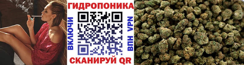 Конопля Amnesia  Кузнецк 